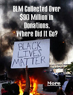 As its leaders spent the money on tailored suits, birthday parties, and �big ass� mansions, almost none of it went to the cause.